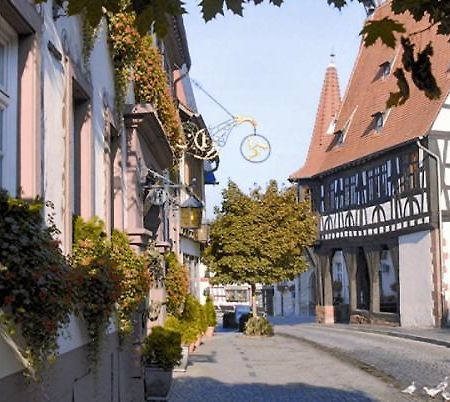Hotel-Restaurant Drei Hasen Michelstadt Exteriér fotografie