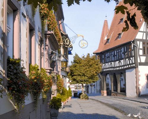 Hotel-Restaurant Drei Hasen Michelstadt Exteriér fotografie